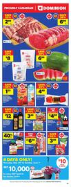Dominion flyer Page 2