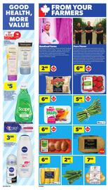 Dominion flyer Page 6