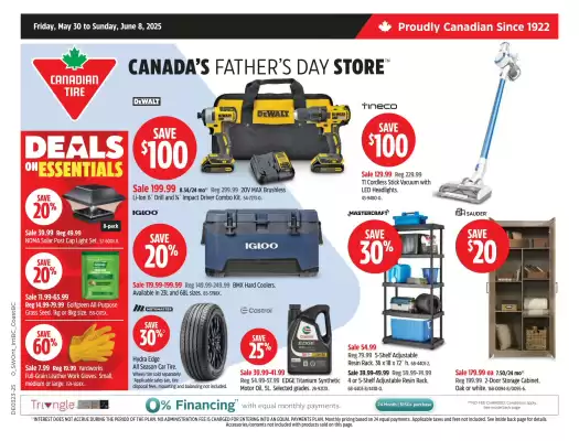 Canadian Tire flyer (valid until 15-06)