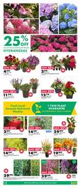 Kent flyer Page 5