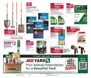Ace Hardware Weekly Ad Page 6