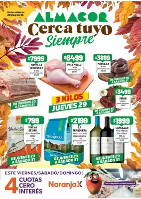 Catálogo Almacor (válido hasta 3-06)
