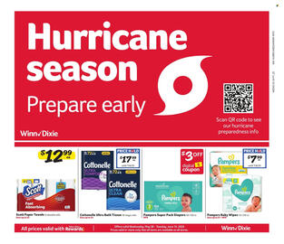 Winn Dixie Weekly Ad Page 1