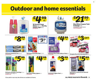 Winn Dixie Weekly Ad Page 3