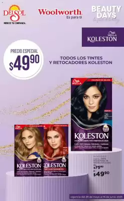 Catálogo Woolworth