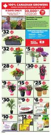 Loblaws flyer week 22 Page 13