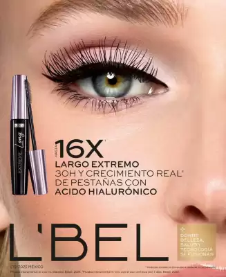 Catálogo L'Bel