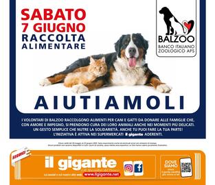 Volantino Il Gigante Pagina 8