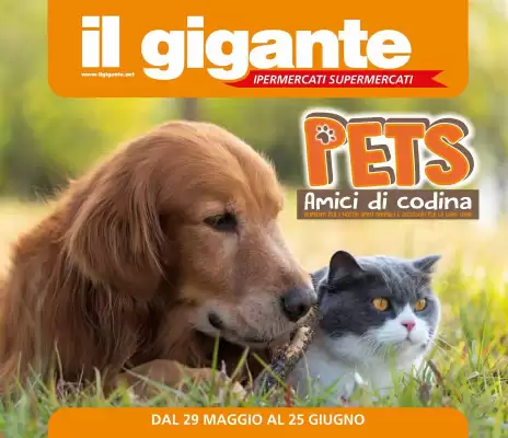 Volantino Il Gigante