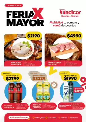 Catálogo Supermercados Tadicor (válido hasta 3-06)