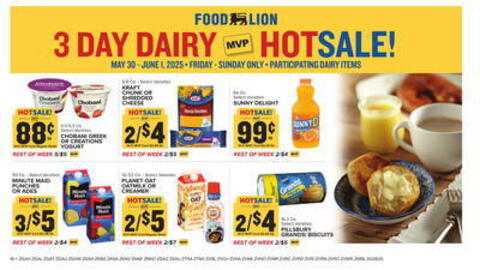 Food Lion Weekly Ad week 22 Page 9