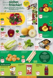 Globus Prospekt woche 23 Seite 8