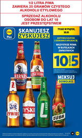 Lidl gazetka Strona 13