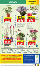 Lidl gazetka Strona 51