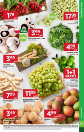 Stokrotka gazetka tydzień 22 Strona 7