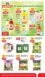 Auchan akciós újság hét 22 Oldal 13