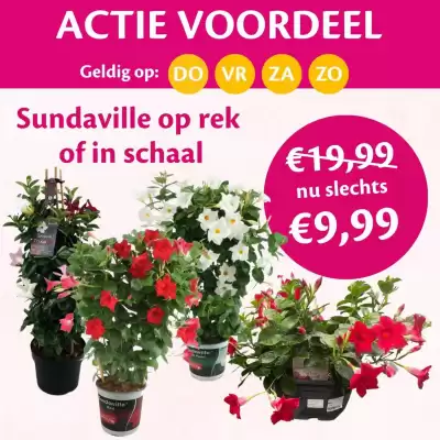 TuinWereld folder (geldig t/m 1-06)