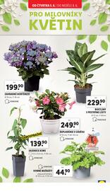 Lidl leták Strana 30
