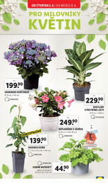 Lidl leták Strana 30