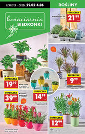 Biedronka gazetka tydzień 22 Strona 23