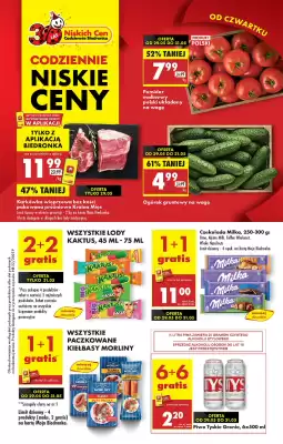 Biedronka gazetka