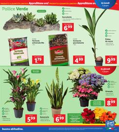 Volantino Lidl settimana 22 Pagina 27