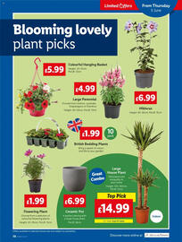 Lidl leaflet week 23 Page 19