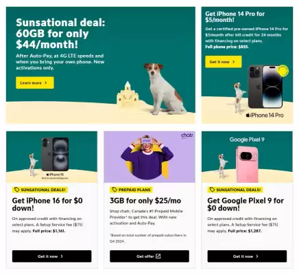 Fido flyer (valid until 4-06)