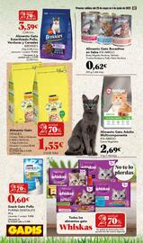 Folleto Gadis semana 22 Página 32