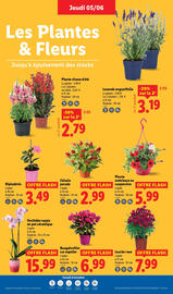 Catalogue Lidl semaine 23 page 29