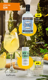 Volantino ALDI Pagina 17