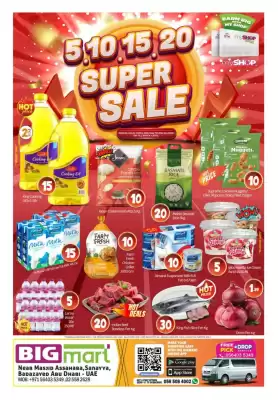 Bigmart catalogue (valid until 1-06)