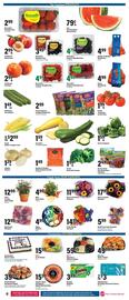 Big Y Weekly Ad week 22 Page 13