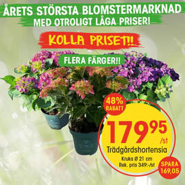 EKO reklamblad vecka 22 Sida 1