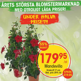 EKO reklamblad vecka 22 Sida 5