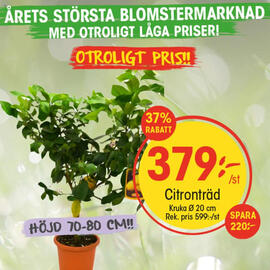 EKO reklamblad vecka 22 Sida 7