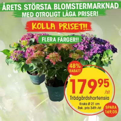 EKO reklamblad