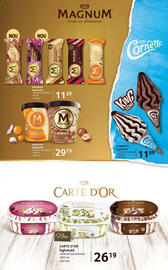 Catalog Selgros Pagină 13