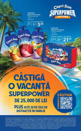 Catalog Selgros Pagină 21