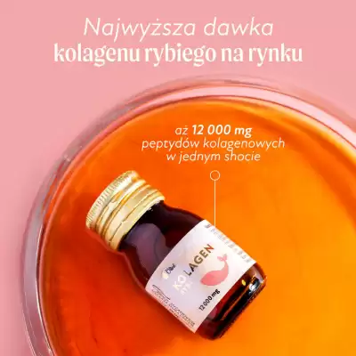 flyer-cover