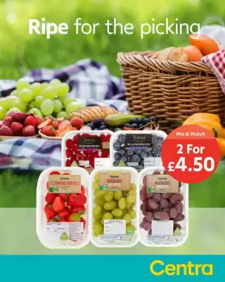 Centra leaflet (valid until 2-06)