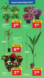 Lidl folder week 23 Pagina 16