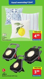 Lidl folder week 23 Pagina 36