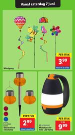 Lidl folder week 23 Pagina 47