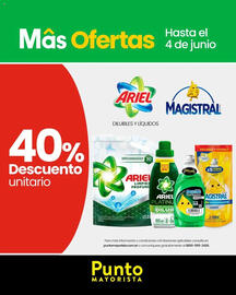 Catálogo Punto Mayorista semana 22 Página 4
