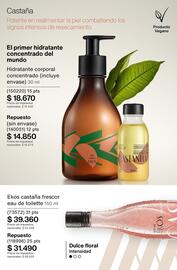 Catálogo Natura Página 183