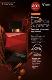 Catálogo Natura Página 53
