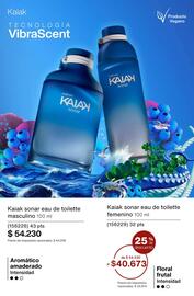 Catálogo Natura Página 72
