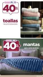 Catálogo La Anonima Página 21