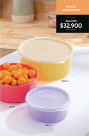 Catálogo Avon Página 30